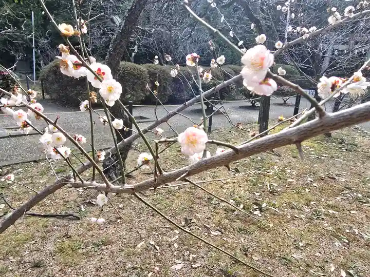 意賀美神社(大阪府)
