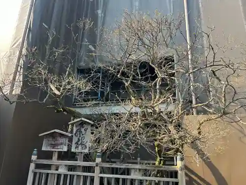 太宰府天満宮の自然