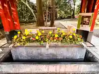 武蔵一宮氷川神社(埼玉県)