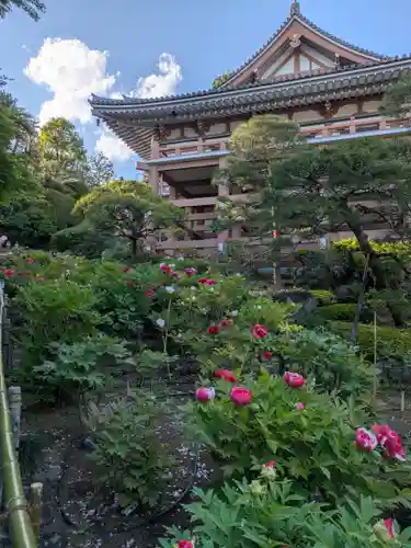 東長谷寺　薬王院(東京都)