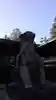 上杉神社の狛犬