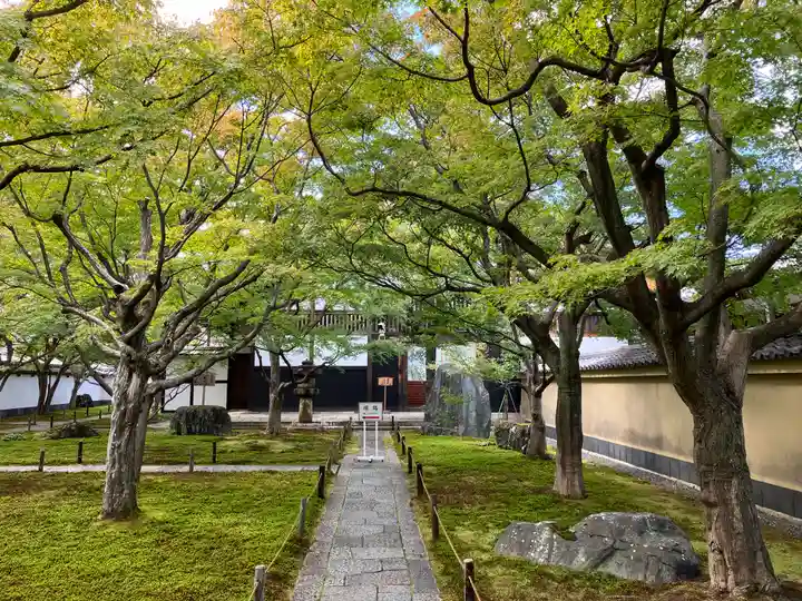大徳寺(京都府)