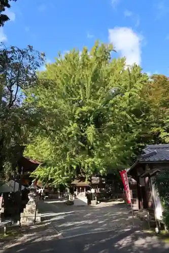 正法寺(滋賀県)