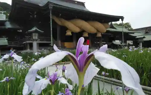 宮地嶽神社の自然