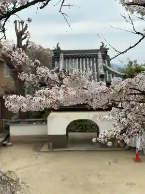 慈眼寺の{uncategorized: "未分類", other: "その他", undefined: "問題あり", building: "その他建物", grave: "お墓", sacred_gate: "鳥居", guardian: "狛犬", statue: "像", buddha: "仏像", history: "歴史", nature: "自然", garden: "庭園", animal: "動物", pagoda: "塔", temizu: "手水舎", mountain_gate: "山門・神門", sanctuary: "本殿・本堂", subordinate: "末社・摂社", art: "芸術", scenery: "景色", jizo: "地蔵", ema: "絵馬", goshuin: "御朱印", omikuji: "おみくじ", items: "授与品その他", amulet: "お守り", goshuincho: "御朱印帳", eats: "食事", festival: "お祭り", votive_dance: "神楽", shichigosan: "七五三参", wedding: "結婚式", experience: "体験その他", initially: "初詣", around: "周辺", anti_infection: "感染症対策"}