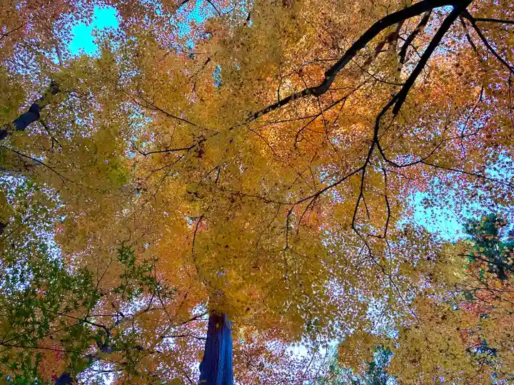 吸湖山 青岸寺の自然