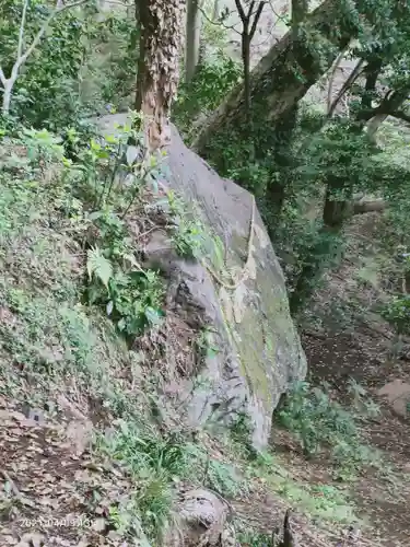 伊豆山神社の自然