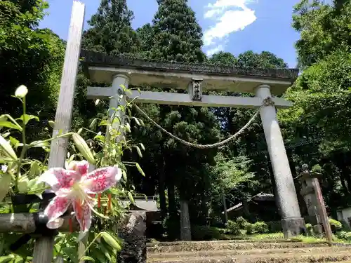 御崎神社の鳥居