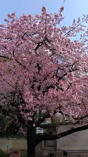 上野東照宮(東京都)