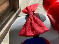 滑川神社 - 仕事と子どもの守り神(福島県)