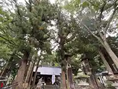 山家神社の自然