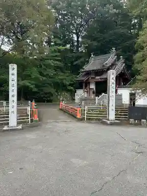 達磨寺(群馬県)