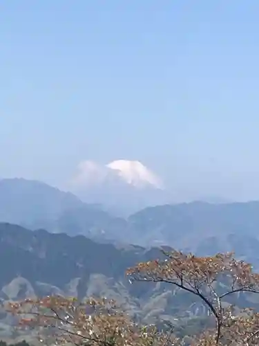 高尾山薬王院の景色