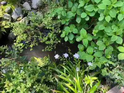 成田山七島不動尊の{uncategorized: "未分類", other: "その他", undefined: "問題あり", building: "その他建物", grave: "お墓", sacred_gate: "鳥居", guardian: "狛犬", statue: "像", buddha: "仏像", history: "歴史", nature: "自然", garden: "庭園", animal: "動物", pagoda: "塔", temizu: "手水舎", mountain_gate: "山門・神門", sanctuary: "本殿・本堂", subordinate: "末社・摂社", art: "芸術", scenery: "景色", jizo: "地蔵", ema: "絵馬", goshuin: "御朱印", omikuji: "おみくじ", items: "授与品その他", amulet: "お守り", goshuincho: "御朱印帳", eats: "食事", festival: "お祭り", votive_dance: "神楽", shichigosan: "七五三参", wedding: "結婚式", experience: "体験その他", initially: "初詣", around: "周辺", anti_infection: "感染症対策"}