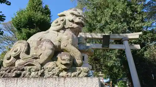 (下館)羽黒神社の狛犬