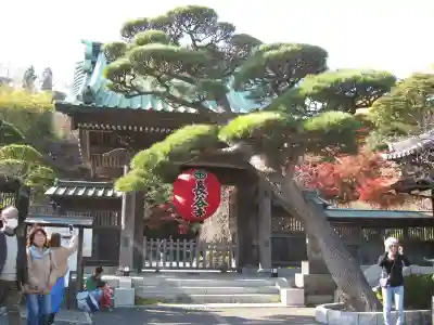 長谷寺(神奈川県)