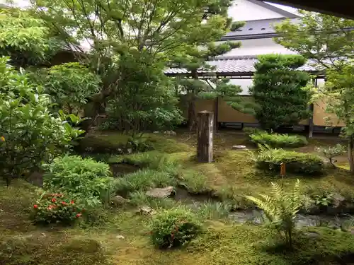 天龍寺の庭園