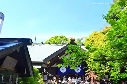東京大神宮(東京都)
