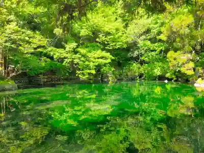 涌釜神社(栃木県)