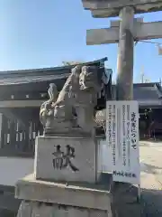 北野神社の狛犬