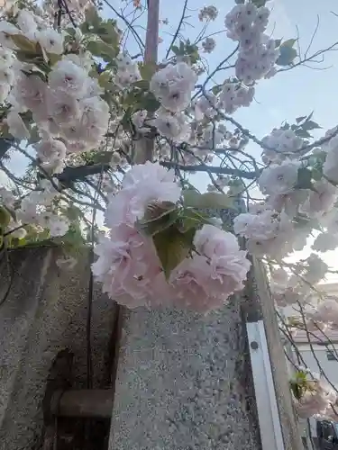 上千葉香取神社(東京都)