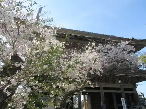 光明寺の山門・神門