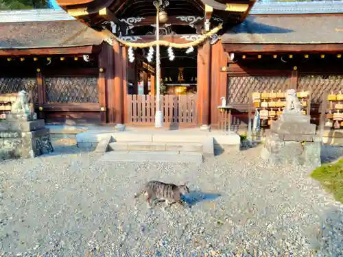 梅宮大社(京都府)