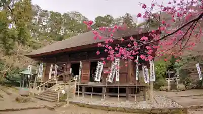 杉本寺の本殿・本堂