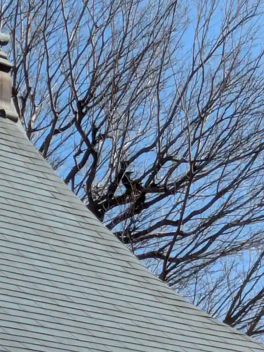 本性寺(東京都)