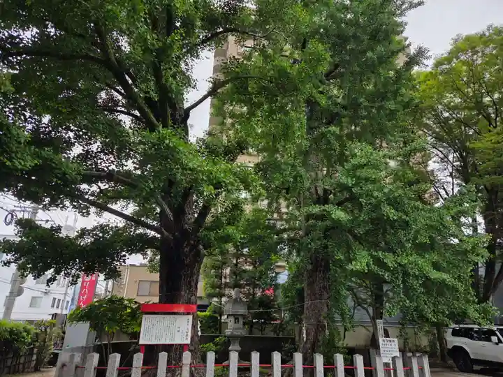 久留米宗社 日吉神社(福岡県)
