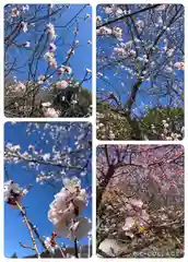 筑波山神社(茨城県)