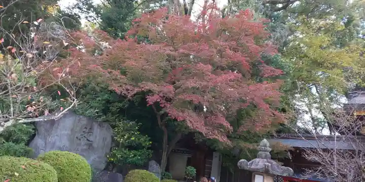 今宮神社(京都府)