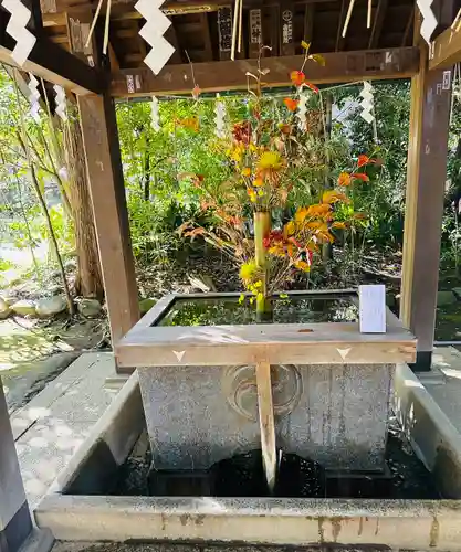 赤坂氷川神社(東京都)
