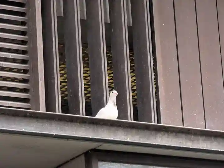 靖國神社(東京都)
