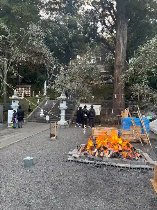 中氷川神社(埼玉県)