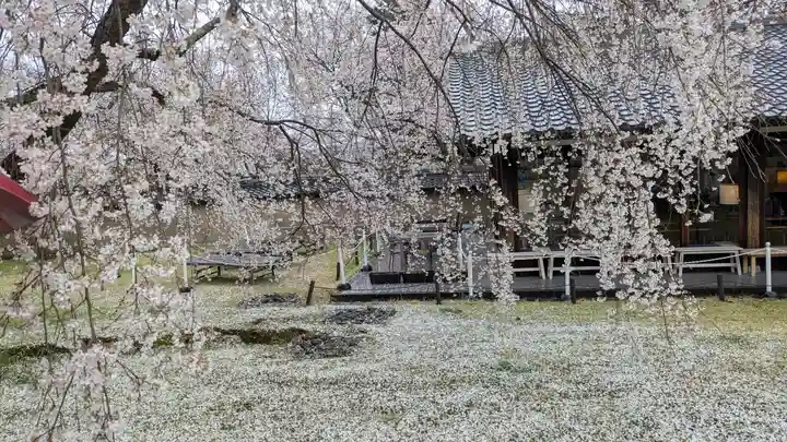 醍醐寺(京都府)