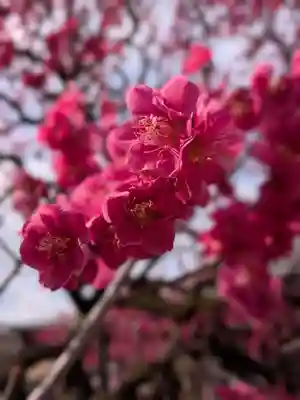 鳳林寺(東京都)
