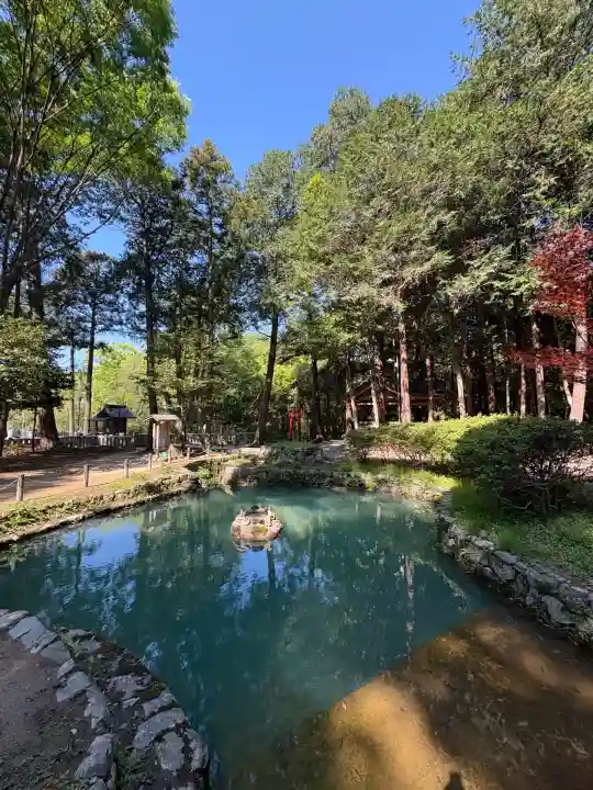 大麻比古神社(徳島県)