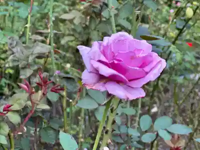 円通院(宮城県)