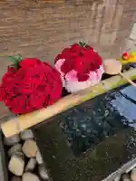 上尾御嶽神社(埼玉県)