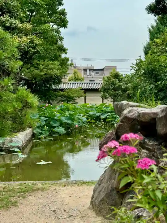 東寺(教王護国寺)(京都府)