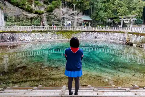 嚴島神社の自然
