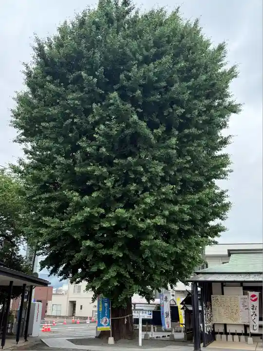 伊勢原大神宮(神奈川県)