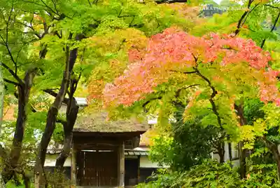 円覚寺(神奈川県)
