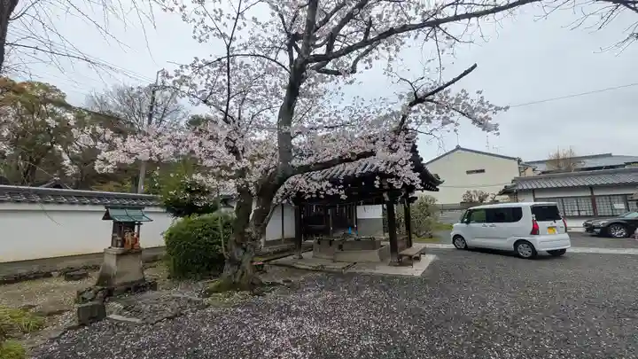 廬山寺(廬山天台講寺)(京都府)