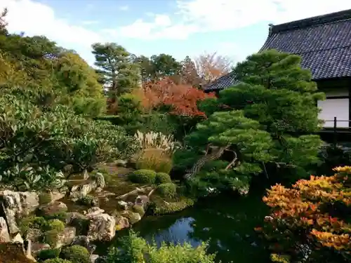 等持院の庭園