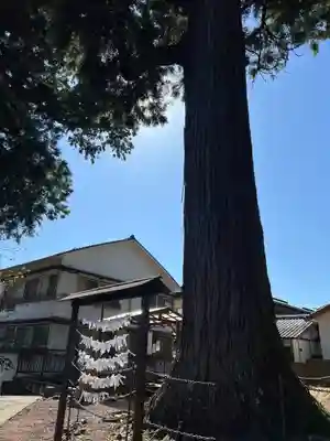 日枝神社(静岡県)