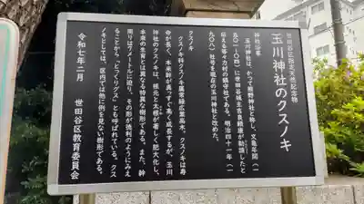 玉川神社(東京都)