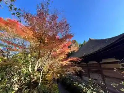 国宝 長寿寺(滋賀県)