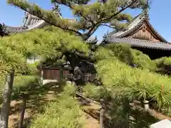 尾上神社の自然